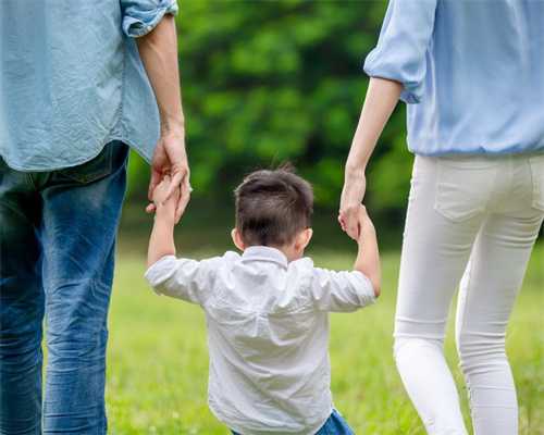 加拿大卡尔顿大学优势专业有哪些？                                                            