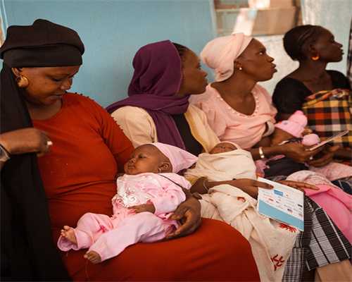 开设3+2出国留学项目国内大学排名情况                                                            