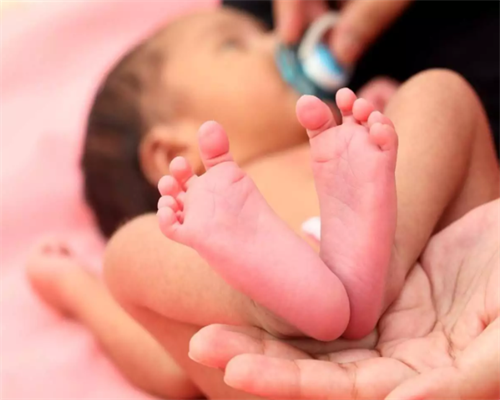 澳洲各地留学费用汇总                                                            