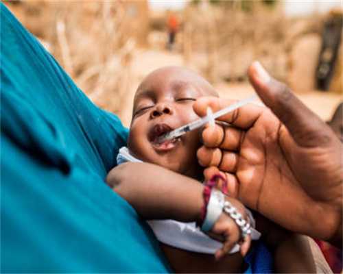 3+1国际本科有哪些学校?                                                            