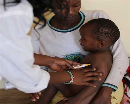 2+2国际本科可靠吗？教育部认可吗？                                                            