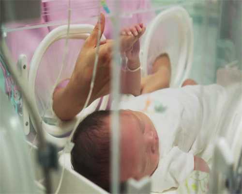 韩国东国大学怎么样？                                                            