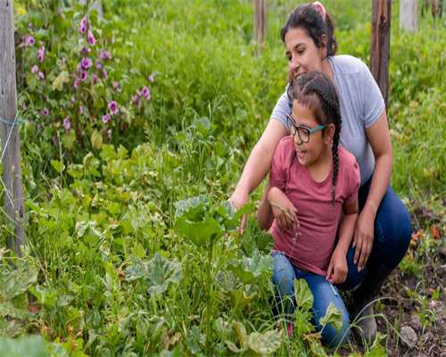 新加坡留学选校因素有哪些？