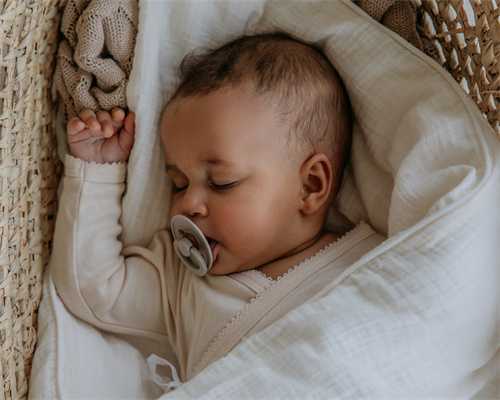 国内申请新加坡留学预科班的学校有哪些？