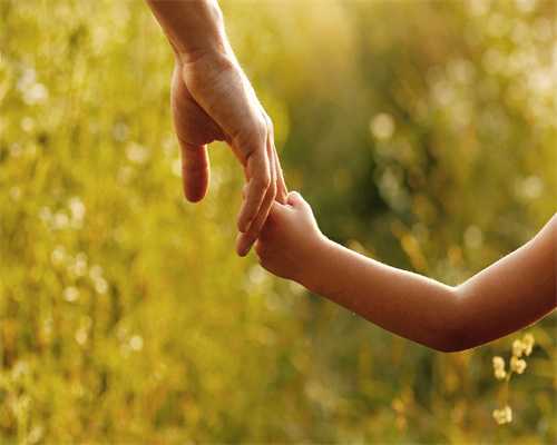 2025年加拿大留学毕业后的就业攻略！                                                            