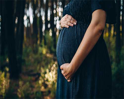 北京理工大学出国留学2+2项目能去美国吗?                